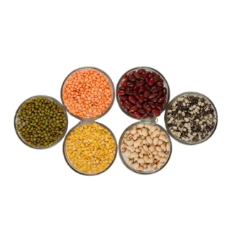 Pulses and Grains
